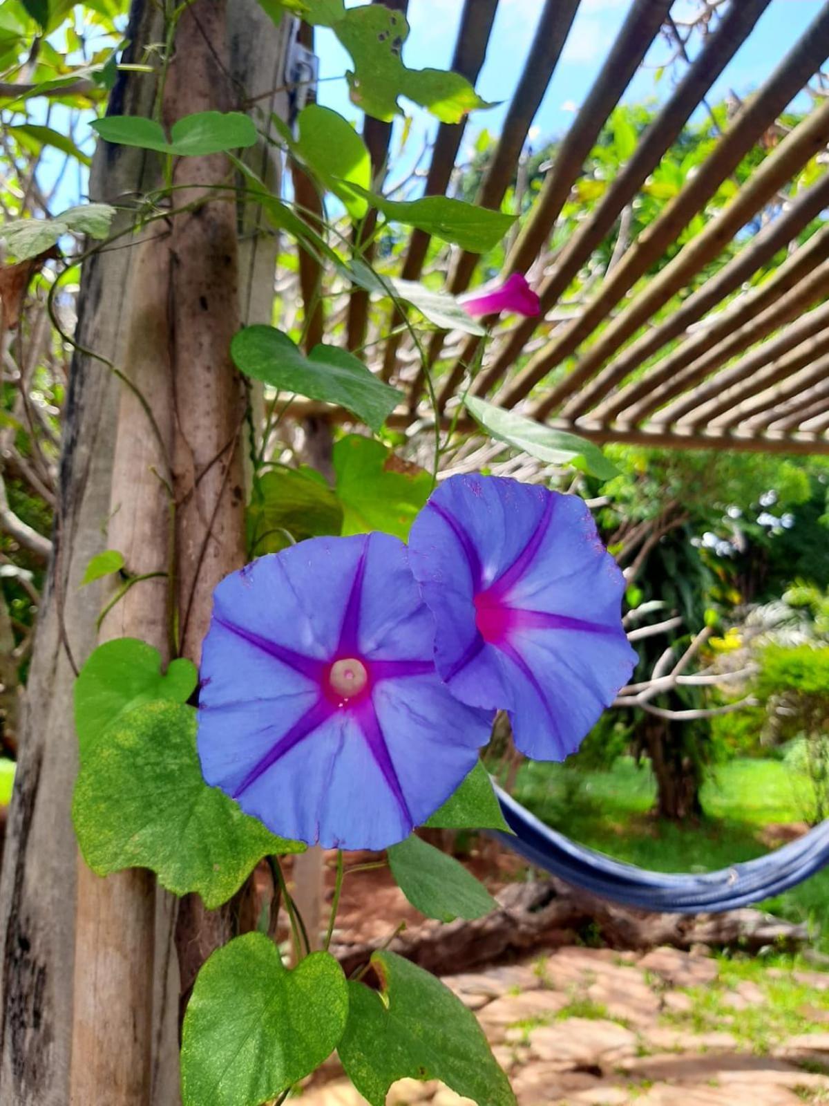 Pousada Paralelo 14 Alto Paraiso de Goias Ngoại thất bức ảnh